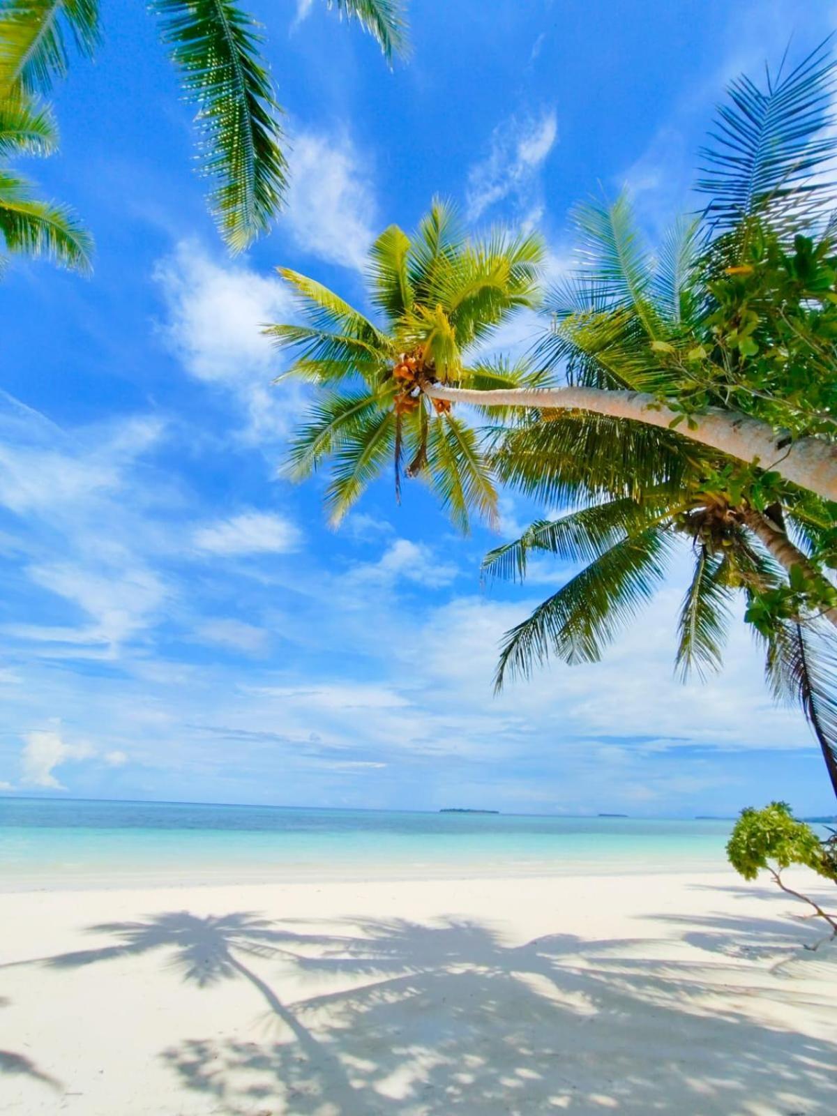 Tria Maria Cottage Ngurbloat المظهر الخارجي الصورة